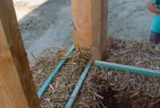 Entre chaque couche de balles de paille des lattes ont �t� clou�es � l'ossature en bois pour r�partir le poids de la paille