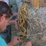 Un voile au niveau des balles inf�rieures doit �viter que des parasites se nichent dans les balles de paille