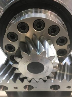 APEX DYNAMICS