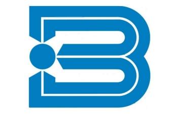logo buhlmann