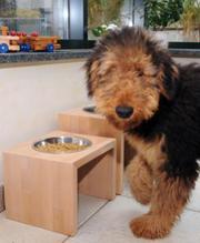 honden eetbak